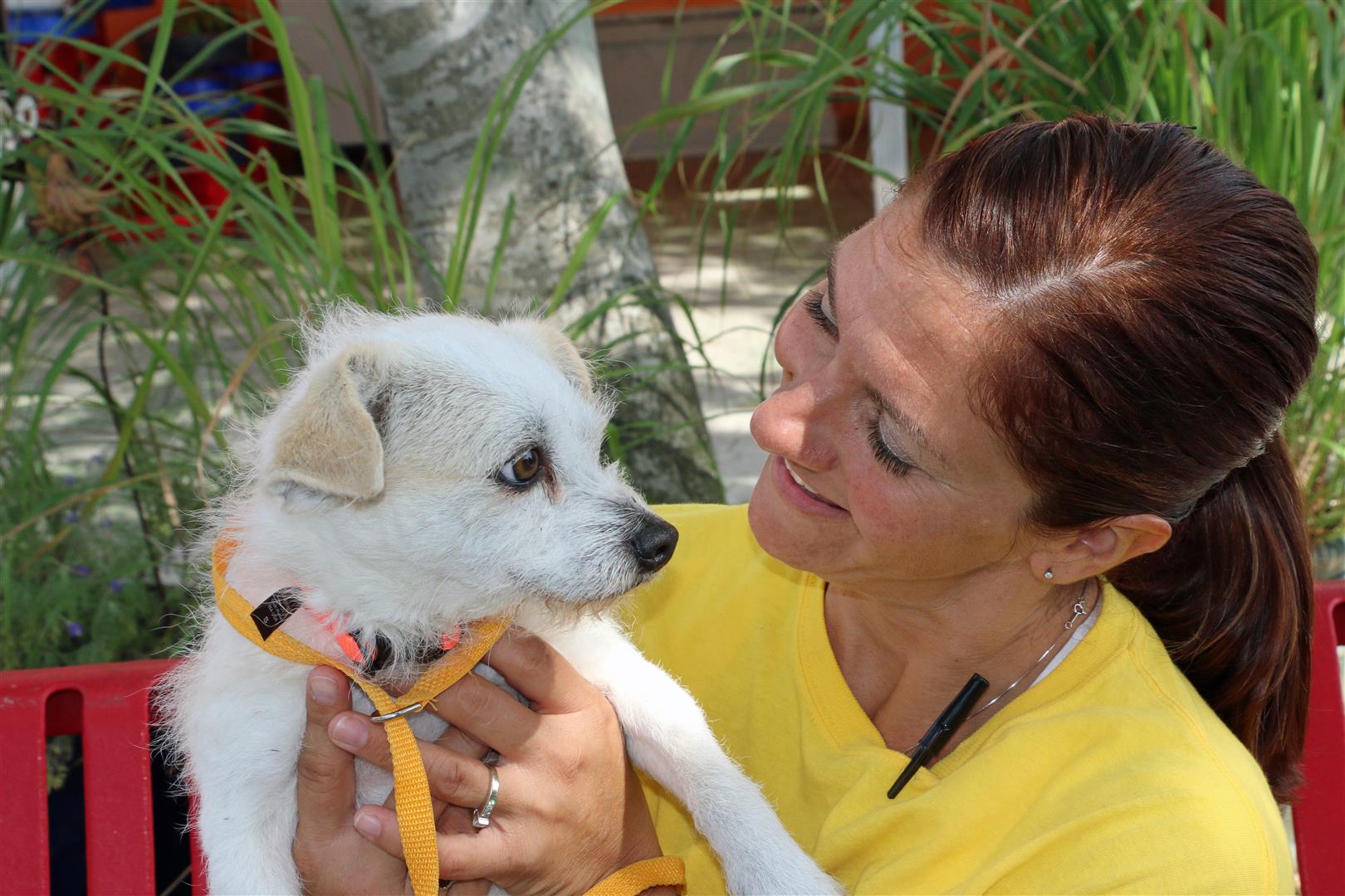 Shelter Volunteer Program